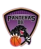 黑豹女篮logo