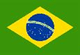 巴西女篮logo