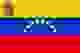 委内瑞拉女篮logo