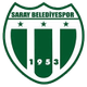 萨拉伊市立体育logo