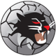 旺加拉野猫logo