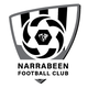 纳拉宾logo
