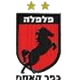 法尔法拉卡西姆沙滩足logo