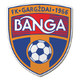 邦加女足logo