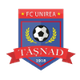 塔斯纳德联盟logo