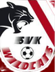 SVK野猫女足logo