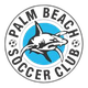棕榈滩鲨鱼女足logo