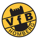 VFB洪贝格logo