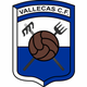 瓦尼卡斯女足logo