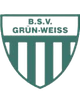 BSVGW克尔恩logo