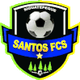 桑托斯锡瓜特佩克logo