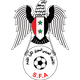 叙利亚女足logo